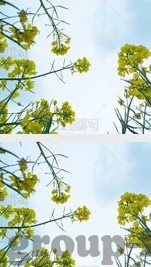 足球让平比分怎么-足球让平比分，一场智慧与运气的博弈盛宴